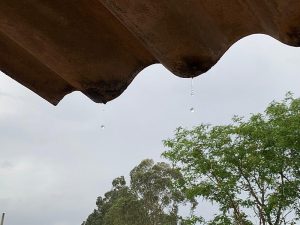 Quinta-feira com previsão de chuva rápida e máxima de 29ºC em Dourados