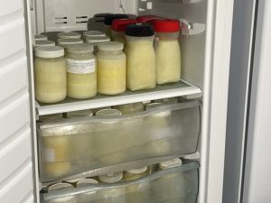 Referência regional, Banco de Leite do HU-UFGD atende todos os dias e busca novas doadoras